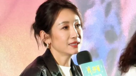 国产在线视频导航
